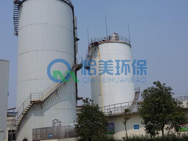 EGSB厭氧反應器